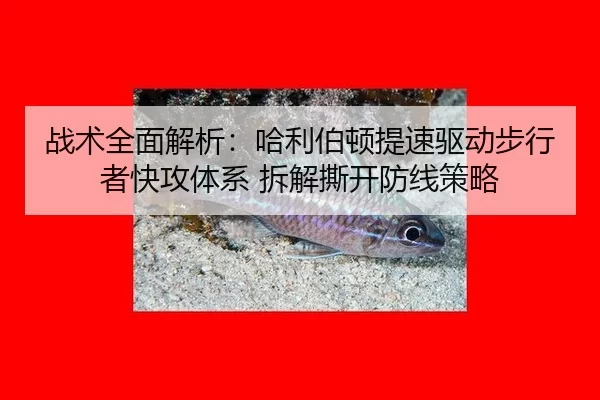 战术全面解析：哈利伯顿提速驱动步行者快攻体系 拆解撕开防线策略